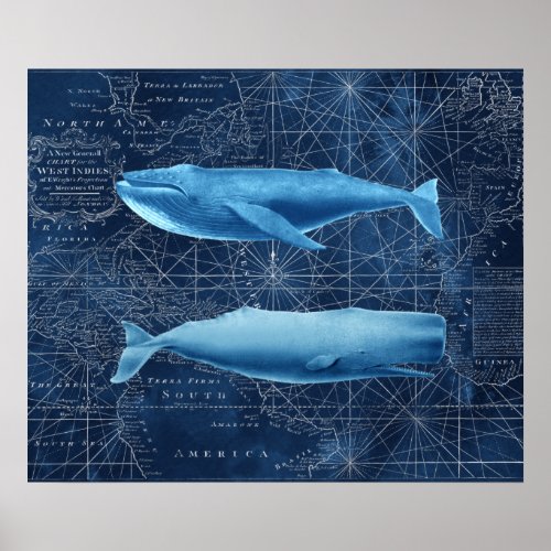 Humpback Whale and Sperm Whale Nautical Art Poster