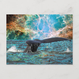 Humpback whale and Supernova Postcard