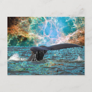 Humpback whale and Supernova Postcard