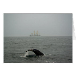 Humpback Whale and Tall Ship 2 Card