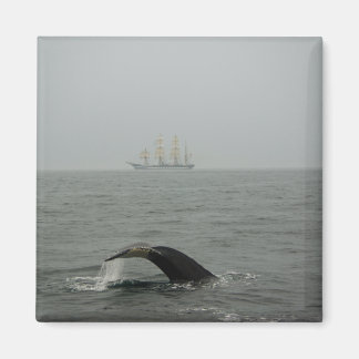 Humpback Whale and Tall Ship 2 Magnet