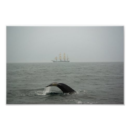 Humpback Whale and Tall Ship 2 Photo