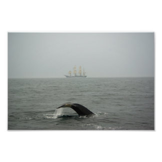 Humpback Whale and Tall Ship 2 Photo Print