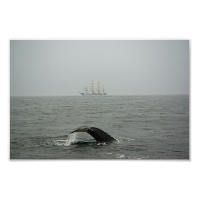 Humpback Whale and Tall Ship 2 Photo Print (Front)