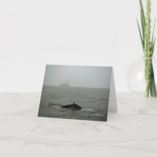 Humpback Whale and Tall Ship Card