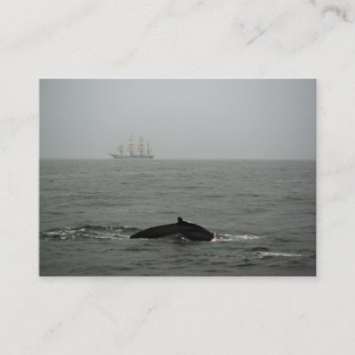 Humpback Whale and Tall Ship Mini Print Business Card