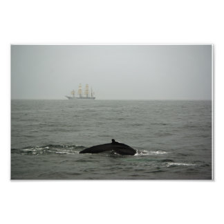 Humpback Whale and Tall Ship Photo Print