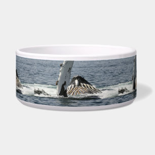 Humpback Whale Bowl