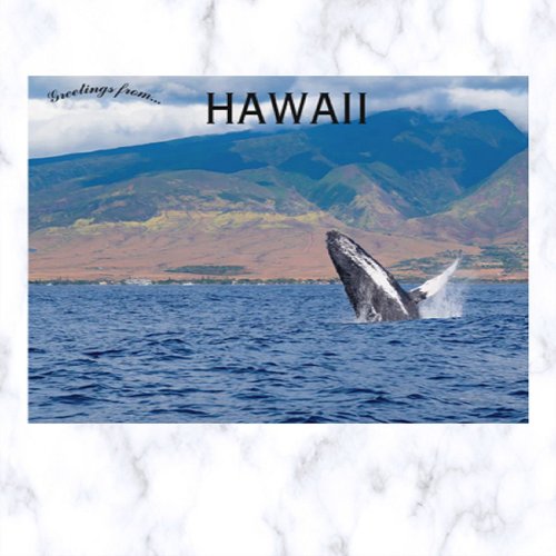 Humpback Whale Breaching Lahaina Hawaii Postcard