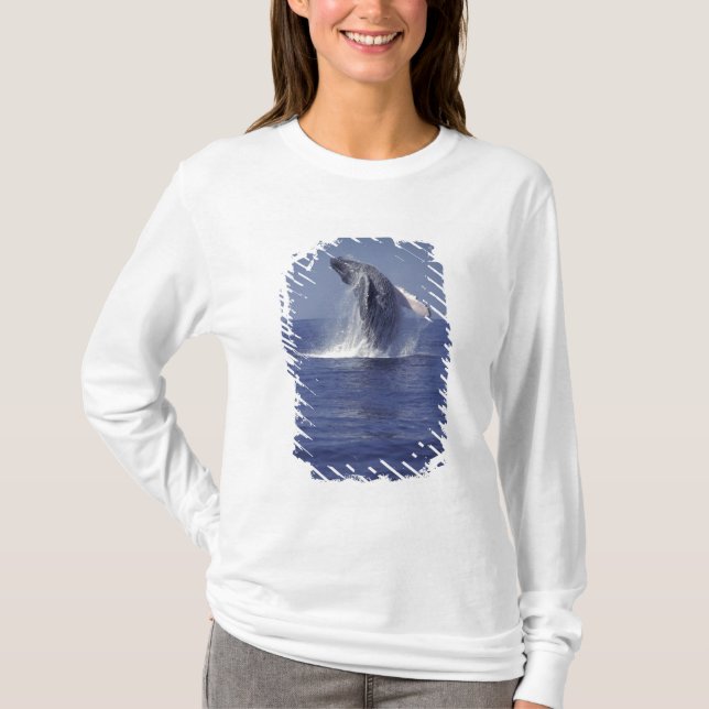 Humpback whale breaching (Megaptera T-Shirt (Front)