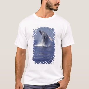 Humpback whale breaching (Megaptera T-Shirt