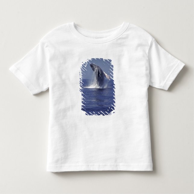 Humpback whale breaching (Megaptera Toddler T-shirt (Front)