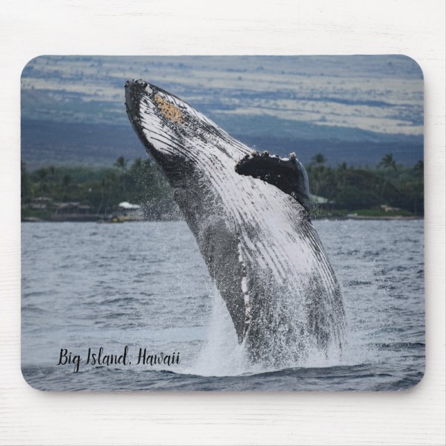 Humpback Whale Breaching Mouse Pad (Front)