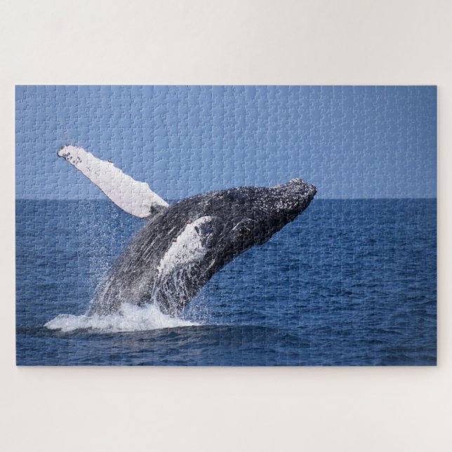 Humpback Whale Breaching the Ocean Jigsaw Puzzle (Horizontal)
