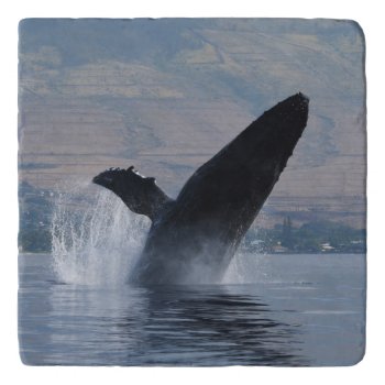 Humpback Whale Breaching Trivet by JLPhotographs at Zazzle