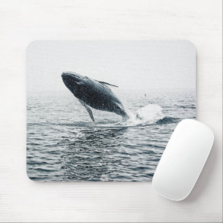 Humpback Whale Calf Mouse Pad
