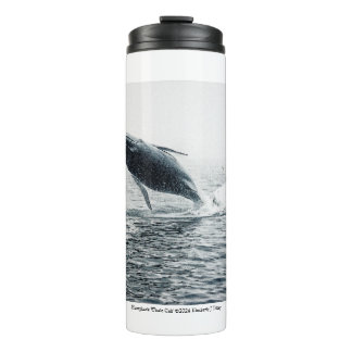 Humpback Whale Calf Thermal Tumbler