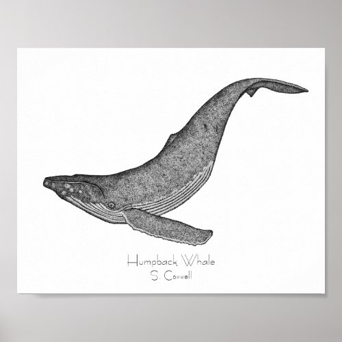 Humpback Whale Dotwork Poster