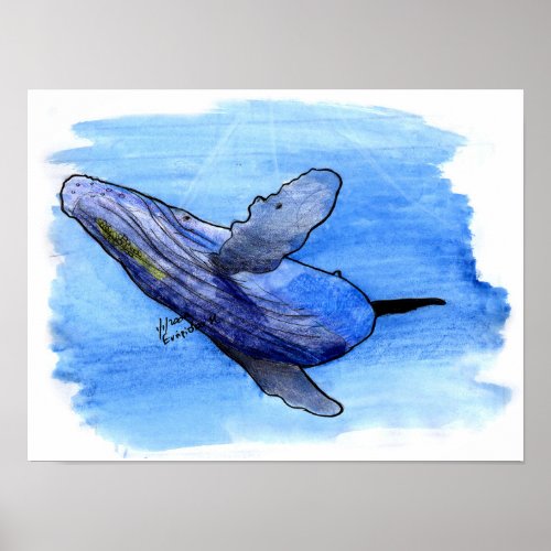 humpback whale drawing poster