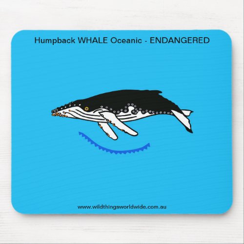Humpback WHALE _ Endangered animal _ Blue Mouse Pad