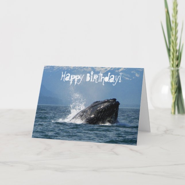 Humpback Whale Feeding Card (Front)