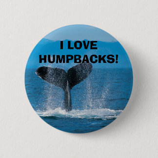 Humpback Whale, I LOVE HUMPBACKS! Button