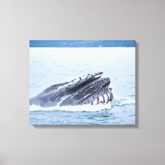 humpback whale in alaska canvas print