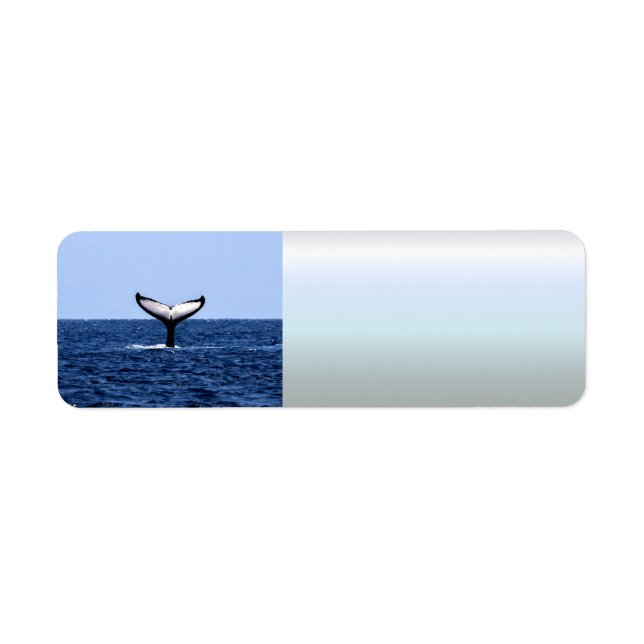 Humpback Whale in Ocean Label (Front)