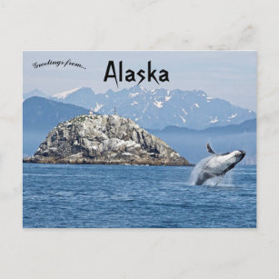 Humpback Whale Kenai Fjords National Park Alaska Postcard
