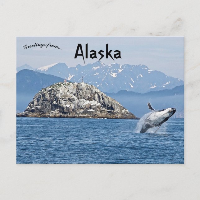 Humpback Whale Kenai Fjords National Park Alaska Postcard (Front)