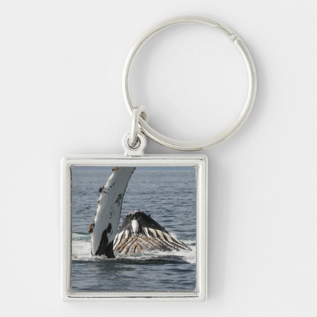 Humpback Whale Keychain (Front)