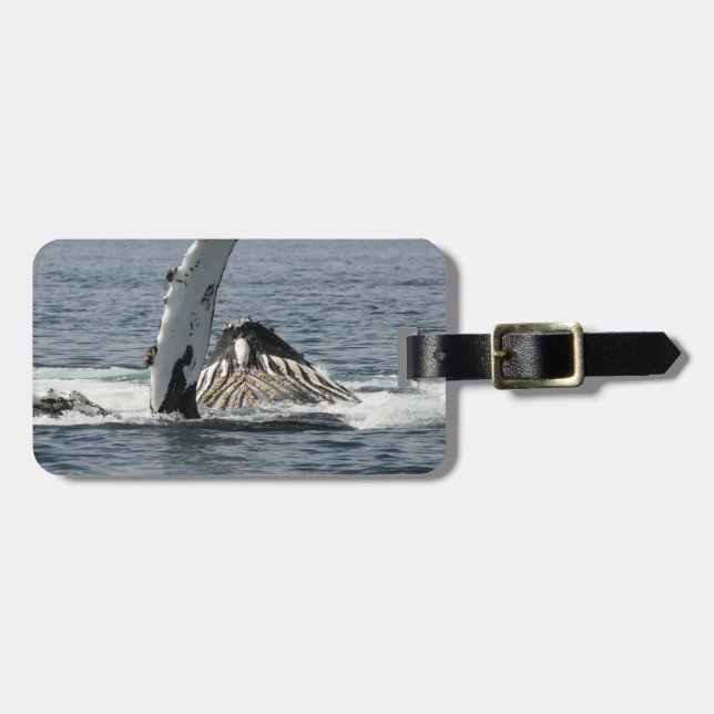 Humpback Whale Luggage Tag (Front Horizontal)