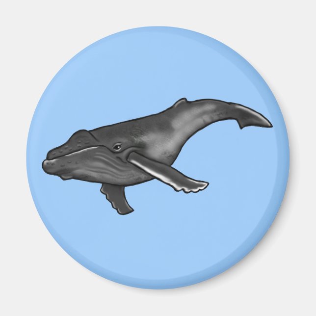 humpback whale magnet (Front)
