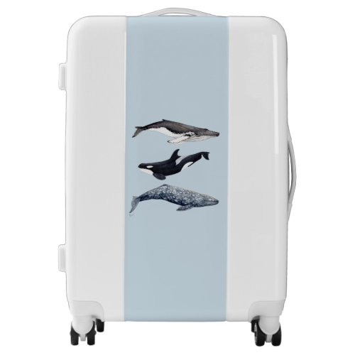 Humpback whale orca grey whale luggage suitcase