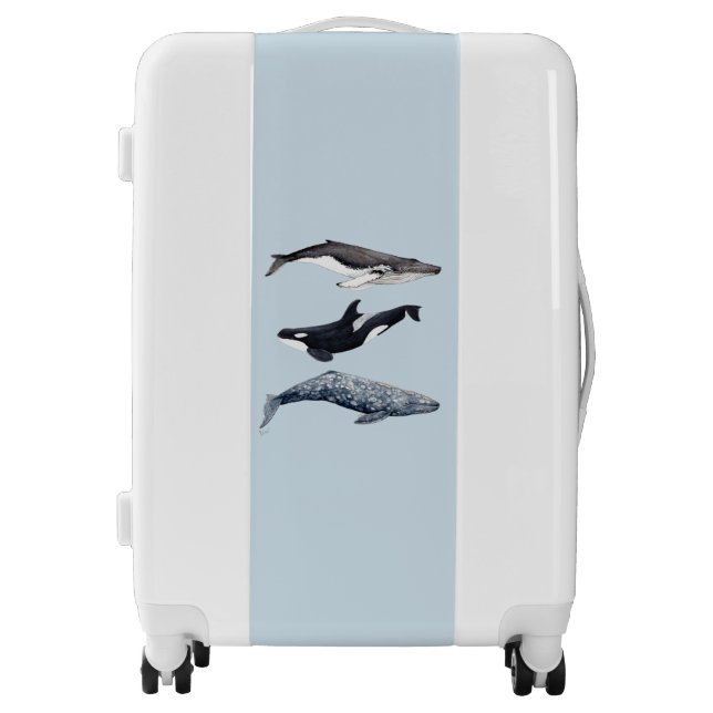 Humpback whale, orca, grey whale luggage suitcase (Front)