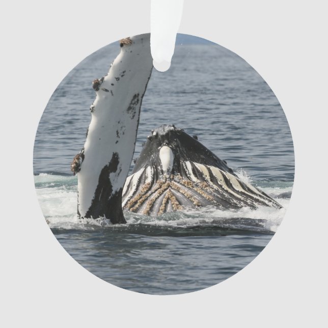 Humpback Whale Ornament (Front)