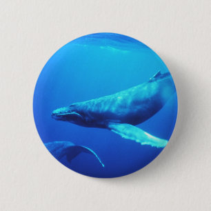 Humpback Whale Pinback Button