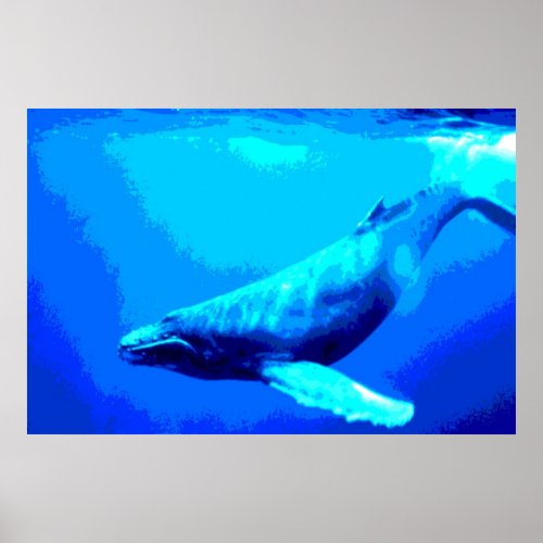 Humpback Whale Poster