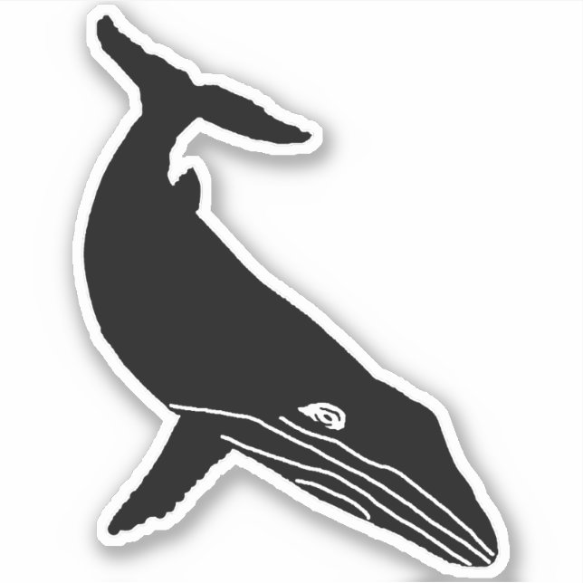 HUMPBACK WHALE SKETCH STICKER (Front)