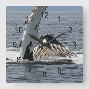 Humpback Whale Square Wall Clock