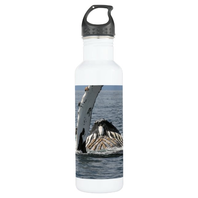 Humpback Whale Stainless Steel Water Bottle (Front)