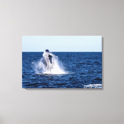 Humpback Whale Stretched Canvas Print
