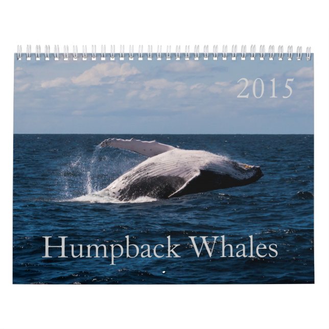 Humpback Whale Surfers Paradise Pacific Ocean Calendar (Cover)