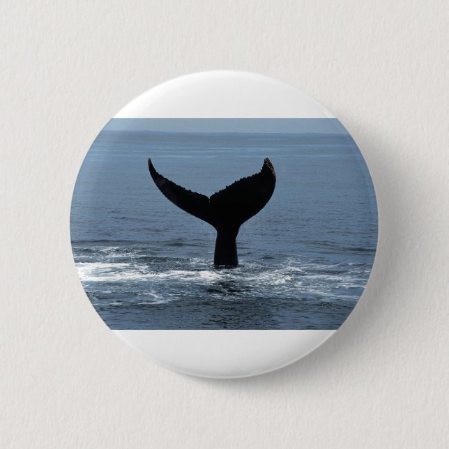Humpback whale tail button (Front)