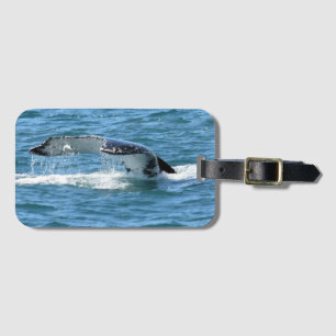 HUMPBACK WHALE TAIL & FISH QUEENSLAND AUSTRALIA LUGGAGE TAG