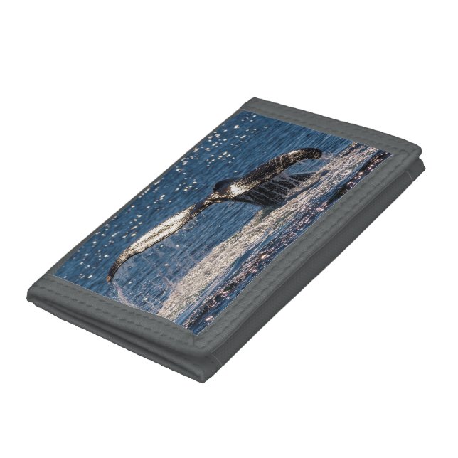 Humpback Whale Tail Fluke Surfers Paradise Trifold Wallet (Bottom)