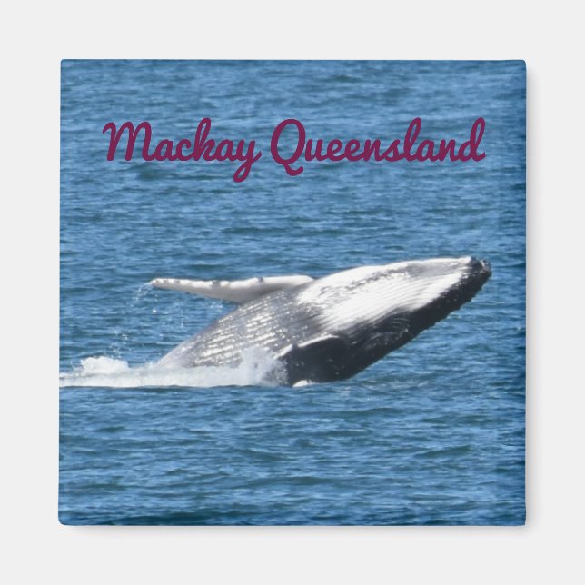 HUMPBACK WHALE TAIL MACKAY QUEENSLAND AUSTRALIA MAGNET (Front)