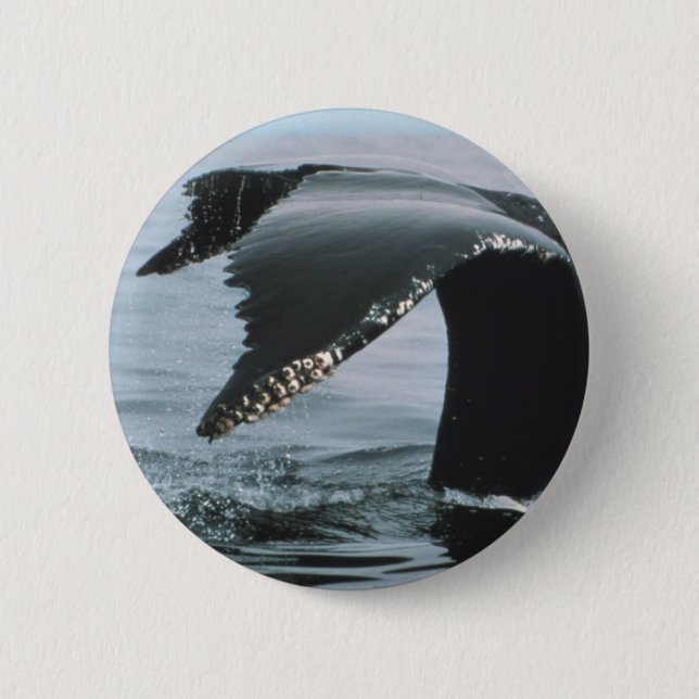 Humpback Whale Tail Pinback Button (Front)