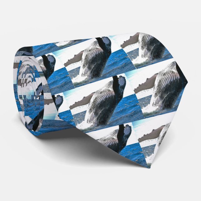 humpback whale tie (Rolled)