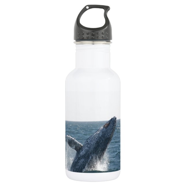 Humpback Whale Water Bottle (Front)